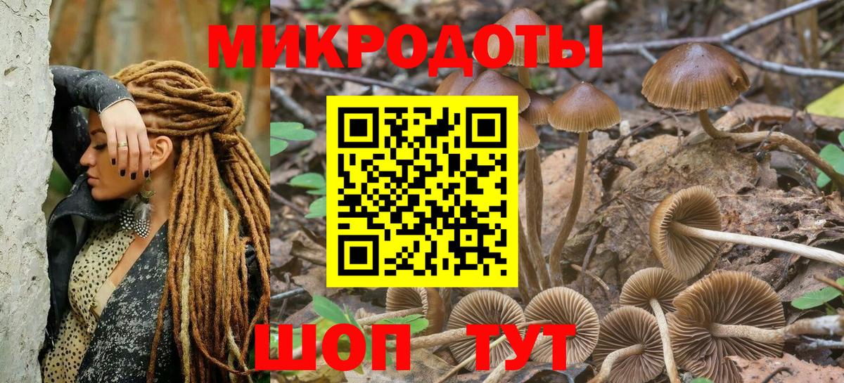 Борисоглебск  где найти наркотики  Вход с VPN  Псилоцибиновые грибы Psilocybe 